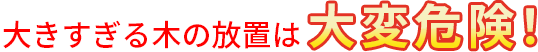 大きすぎる木の放置は大変危険！