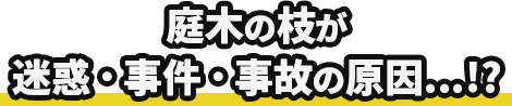 庭木の枝が迷惑・事件・自己の原因…!?